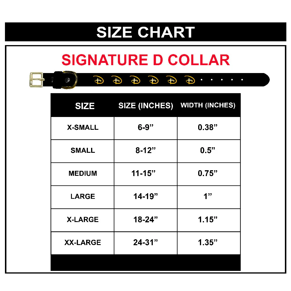 CDC-WDY761-SIZE-CHART.jpg