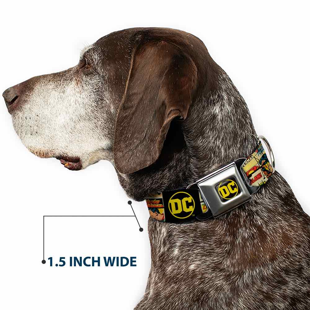 DC-WDC066-WS_7