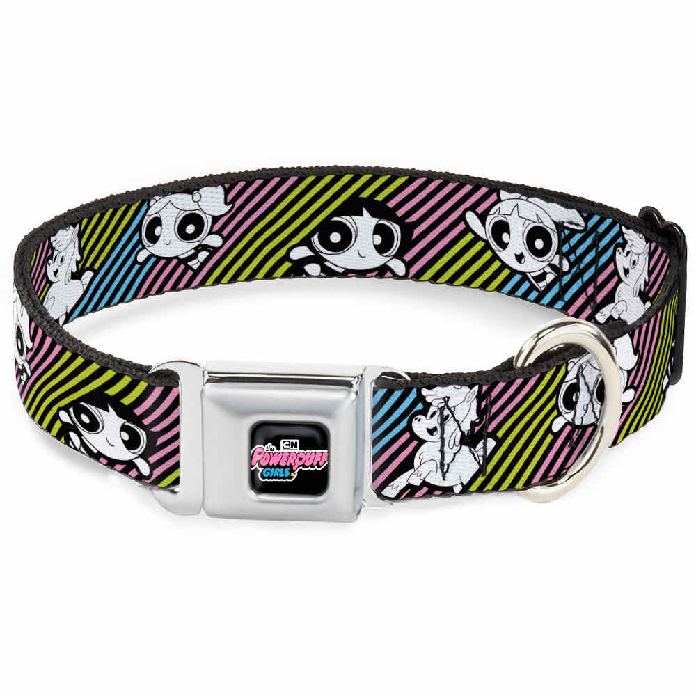 DC-WPPG104-WS_1