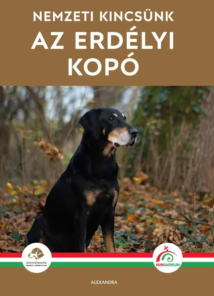 az_erdelyi_kopo