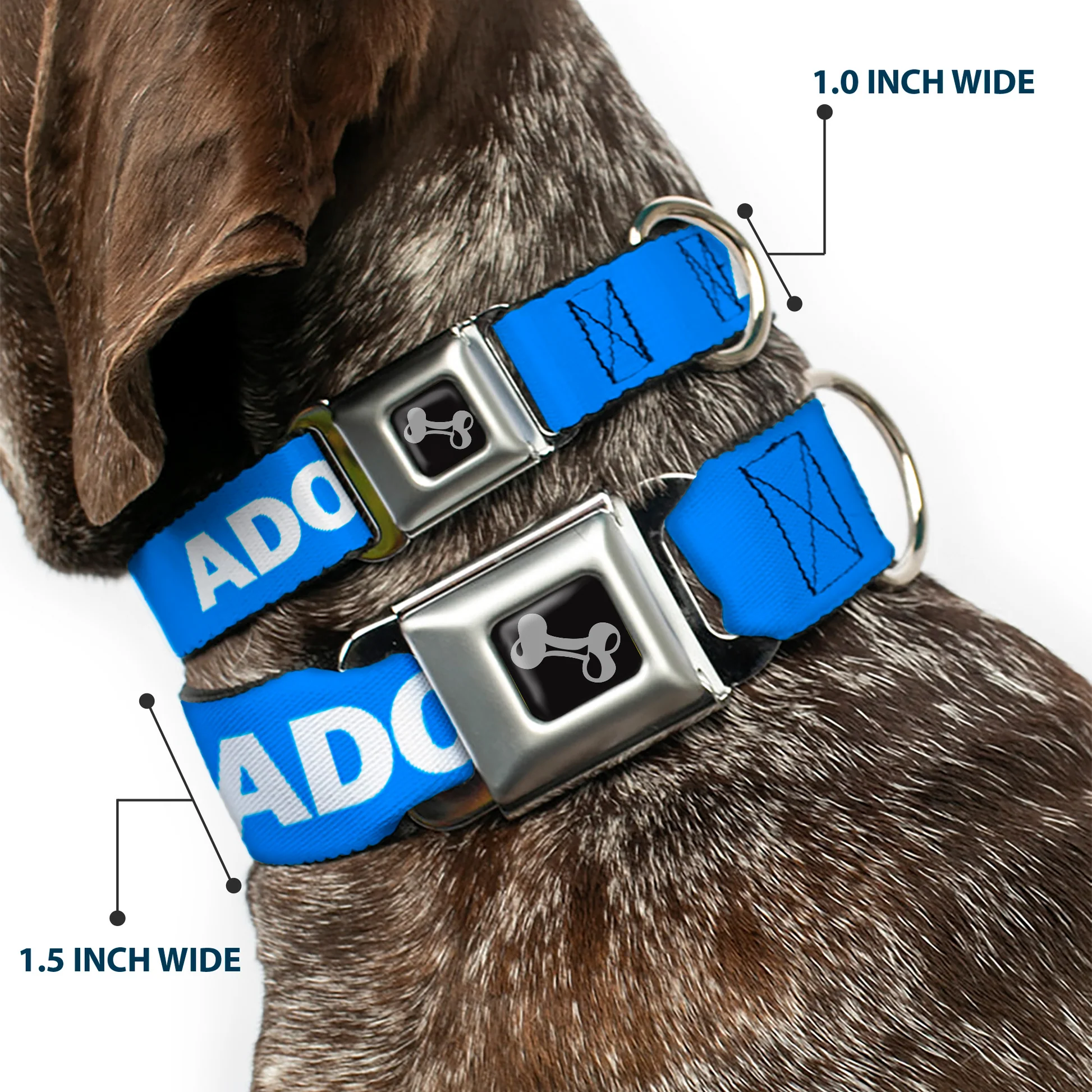 adopt2