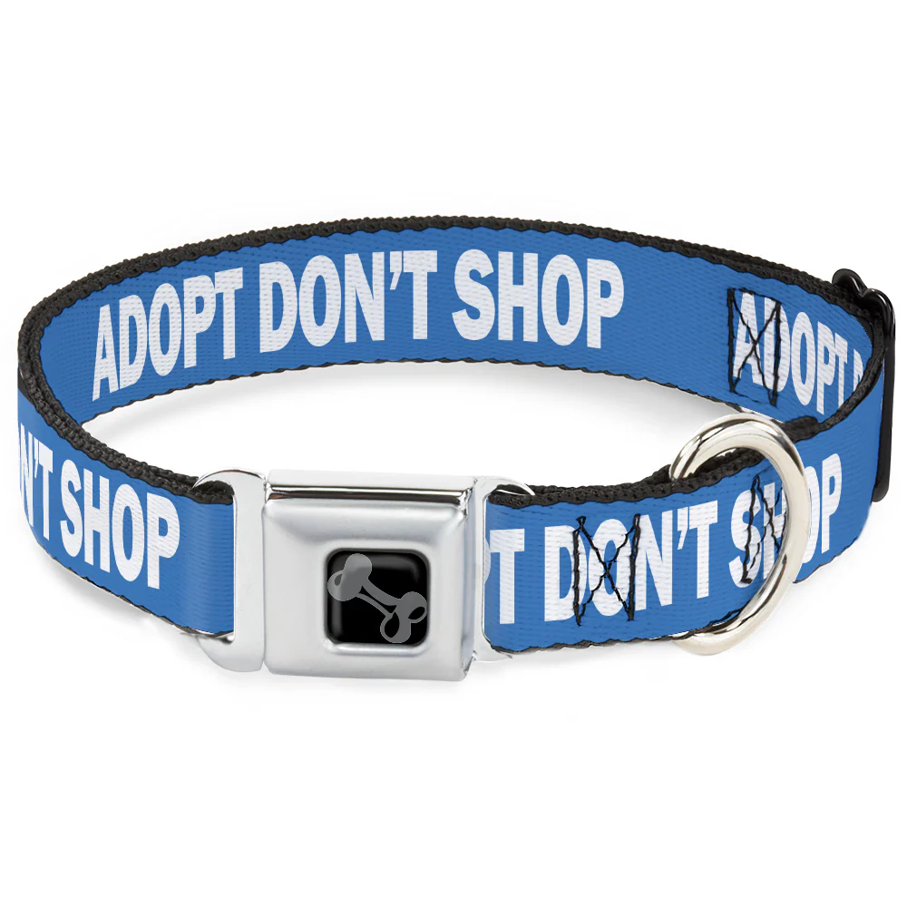 adpot1