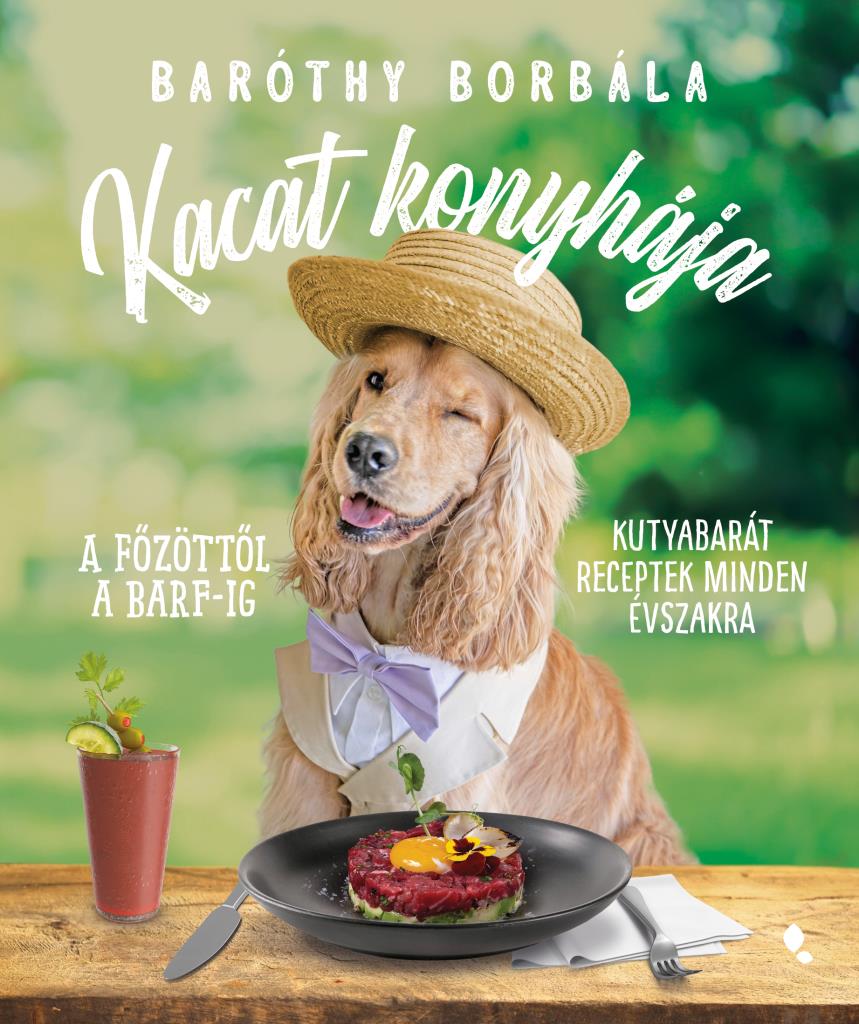 barothy_kacat_konyhaja_borito