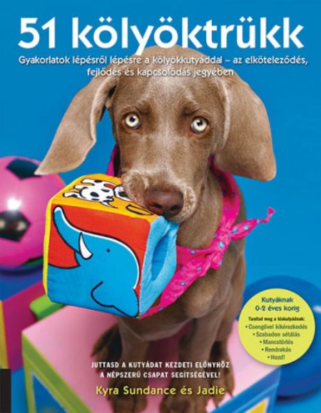 51 kölyöktrükk - Gyakorlatok lépésről lépésre a kölyökkutyáddal
