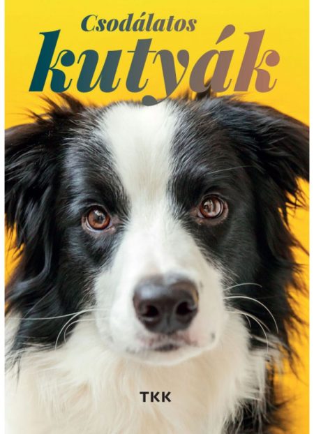 Csodálatos kutyák könyv