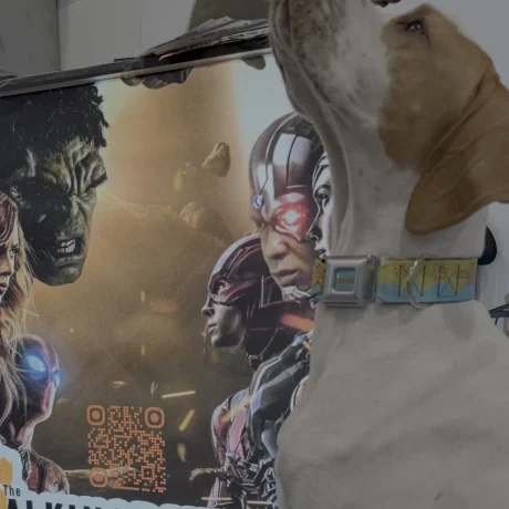 0424CC7F-A47F-4611-A319-4C3B9C46C3D5_1600px_q78