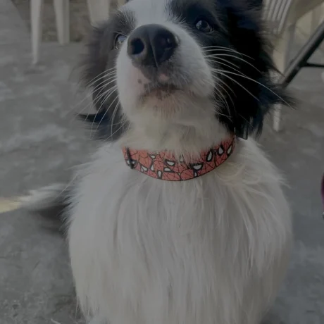 15E3A1C7-34C8-4935-B11B-38F811E5ED7C