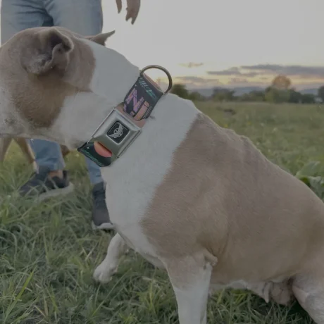 3A7C5739-75A0-4FDE-8425-9D35871C3417