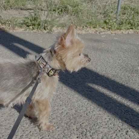 3F0AA64A-E1D5-49FB-B5B7-4A9E591B92BD