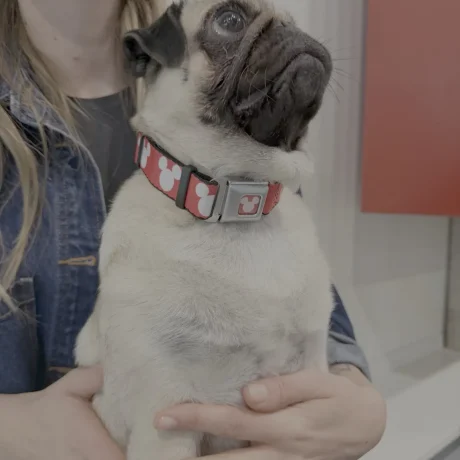 431B6015-0E46-4F16-B2A7-5C163434735D_1600px_q78