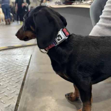 458D8023-70CF-409C-894C-C56564035A4F_1600px_q78