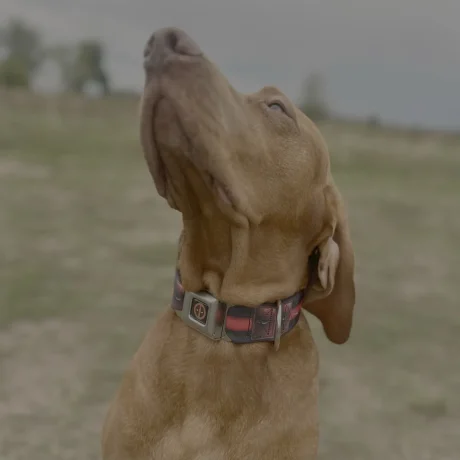 744D3E6E-3F60-4811-B783-32C55DF5F99B