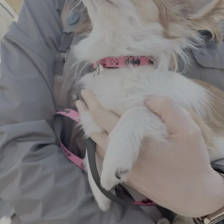 B3D30723-F9DF-4D81-858A-FDD55DFD3203