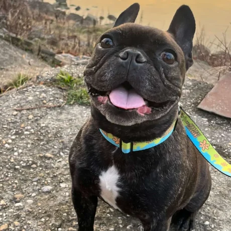 BA39C42E-3B84-484C-A93B-172A618D28DA