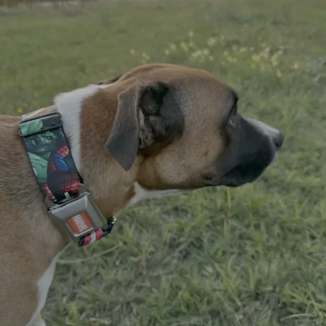 CE0B76E7-B187-437D-9616-AFAC3D7940F0