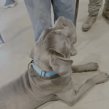 E919AE9D-C49E-4623-85C8-83867BF1509A