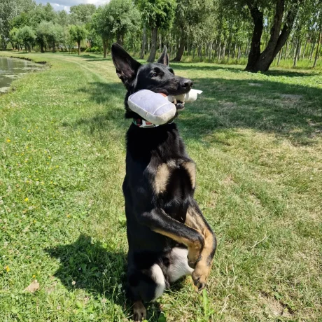 att.-RnRkxB9OCe5DOk-SvKsJnUtAkJo513fDSKYn3Fss8s_1600px_q78