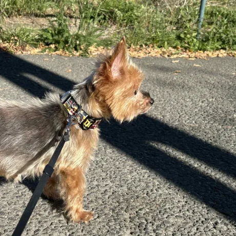 att.AsxG6h00hVonnR5qPzlegcFP0ezHmG6s8MmPh4bufQc