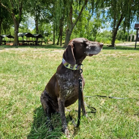 att.YmynDC7J1XaZp2wwj-6OsTCtA6YN8Ct9Yw-HZTzl0ZA_1600px_q78