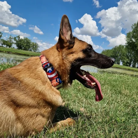 att.weg18SNJf0-nzd-OIX33mdjizCrTJrI8Qk-zFAeE4Vg_1600px_q78