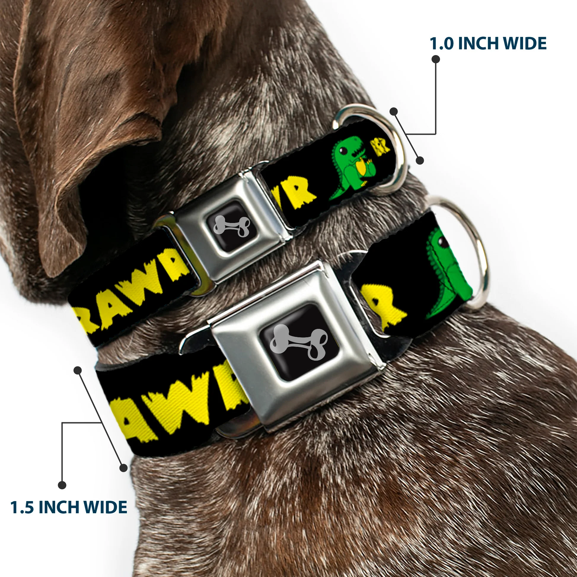 DC-SB-DB-W31825-2