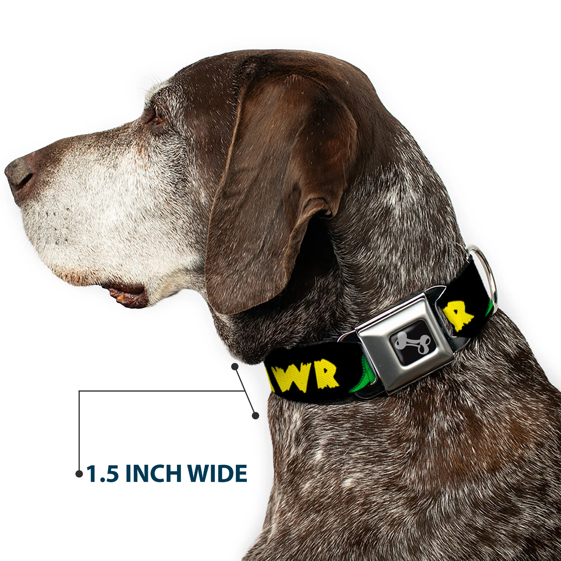 DC-SB-DB-W31825-7