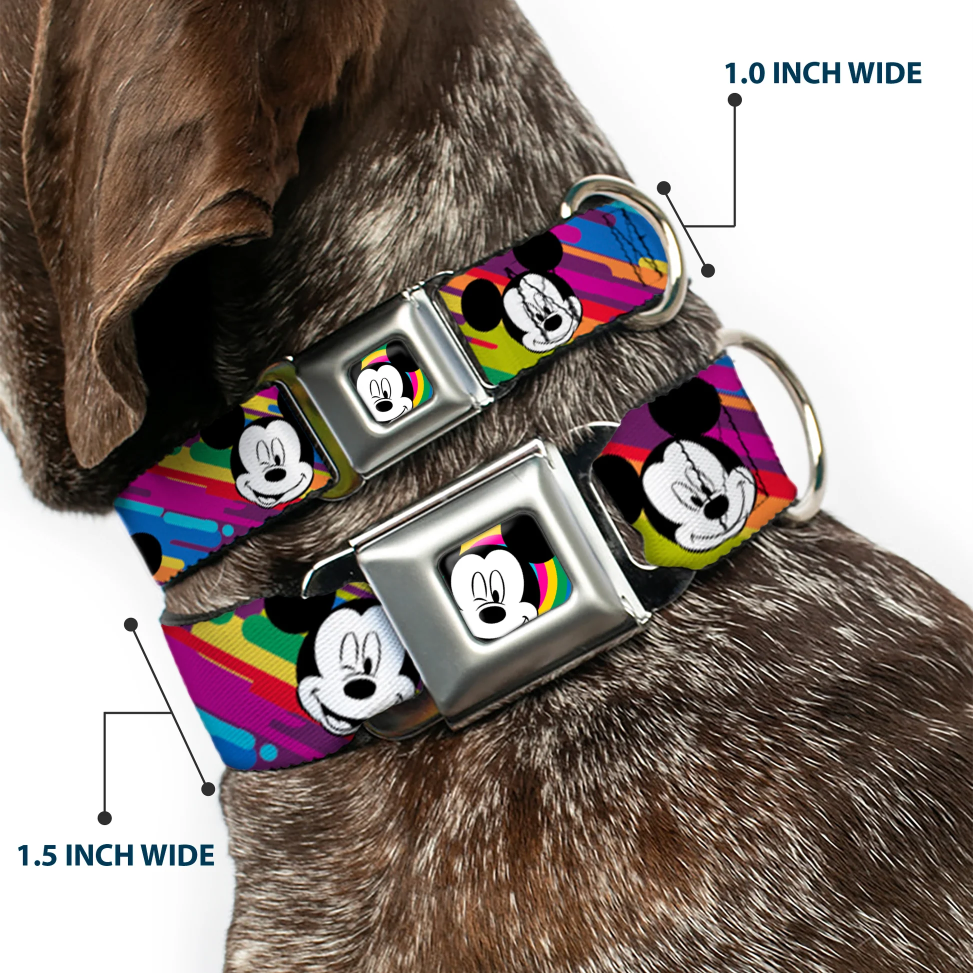 DC-SB-DYBS-WDY096-2