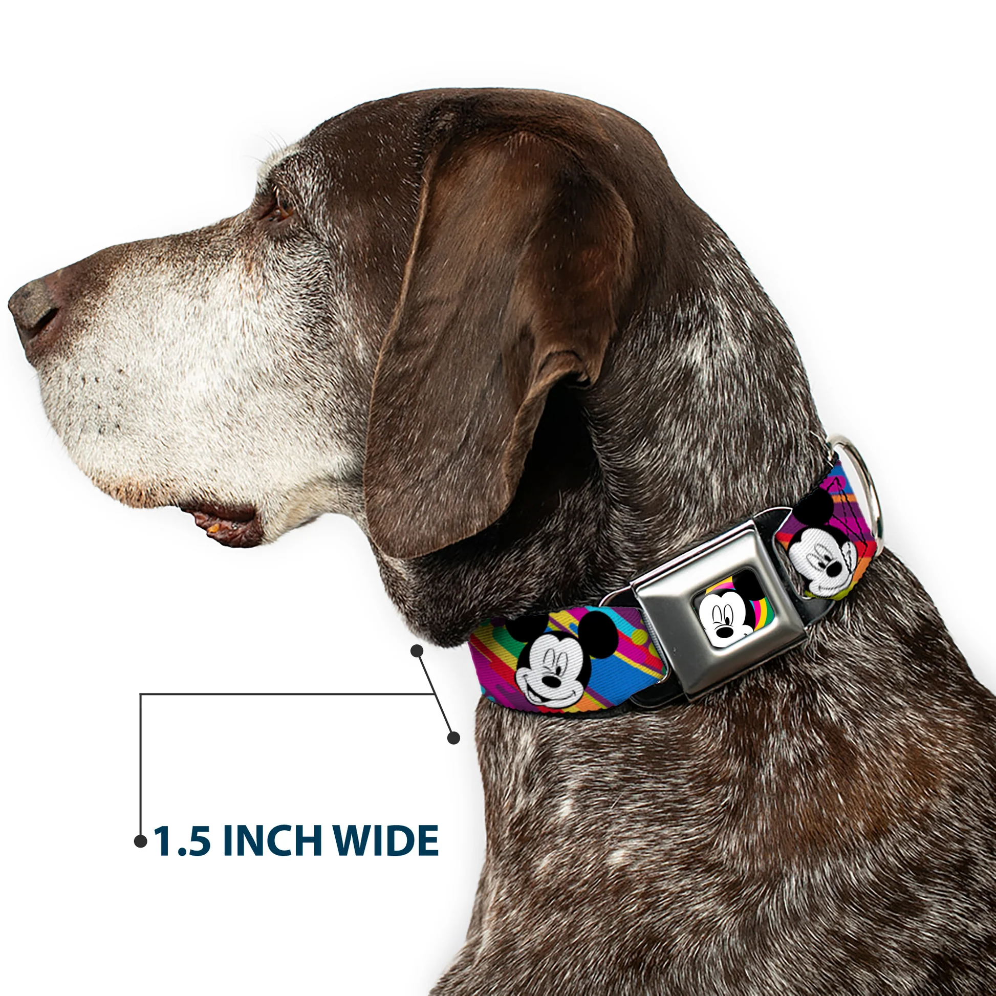 DC-SB-DYBS-WDY096-7