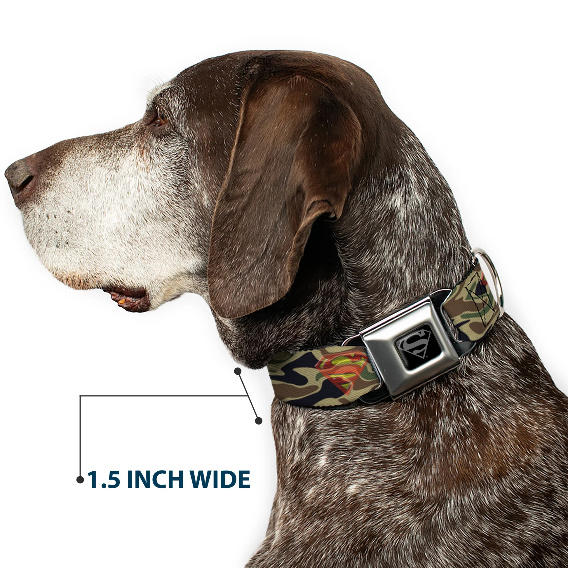 DC-SB-SMA-WSM002-7