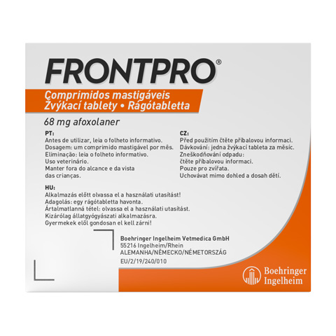 FRONTPRO-walkingpaws_B