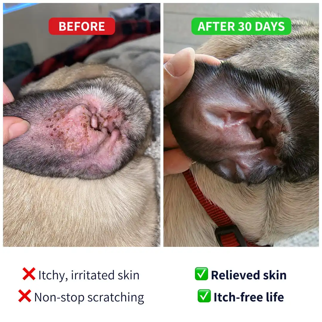 Allergy-Itch-before-after