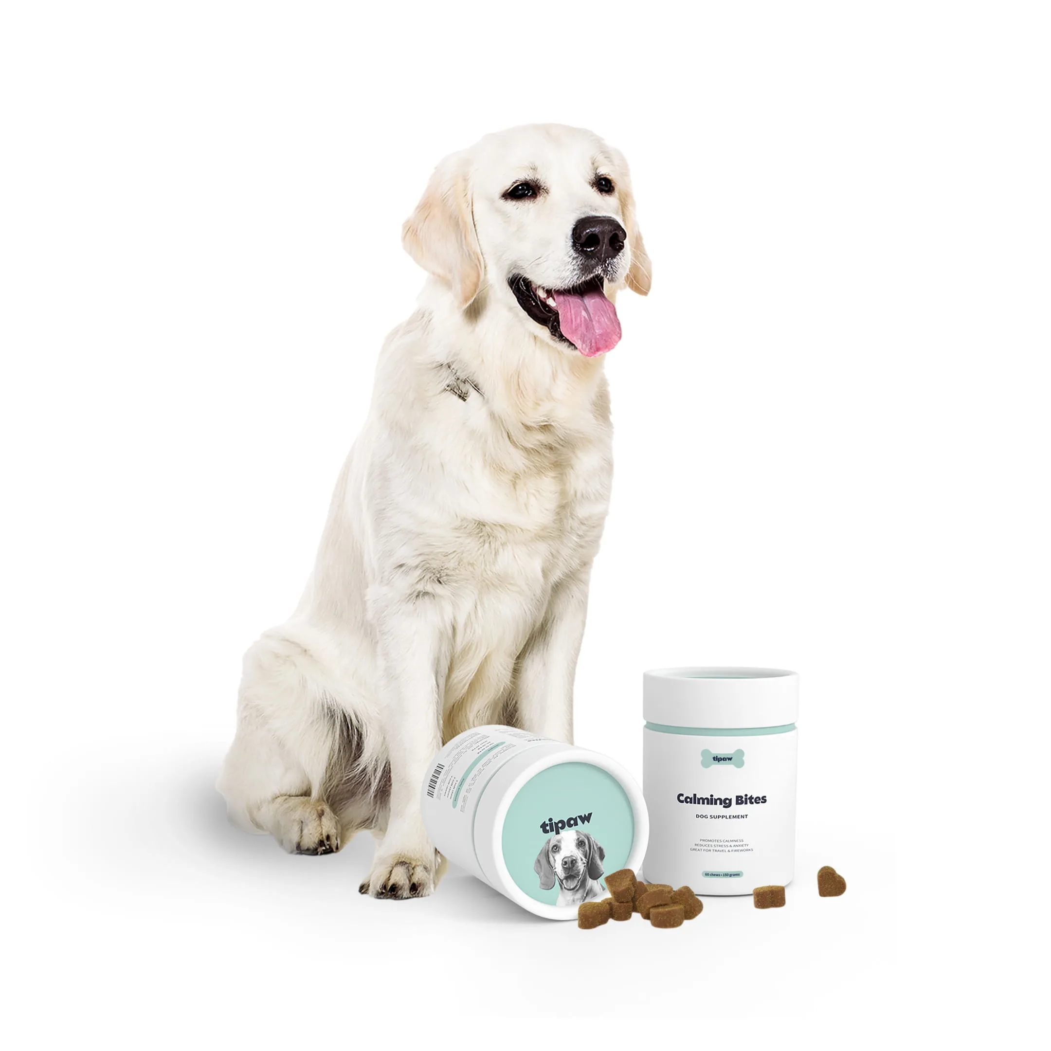 Calming-bites-dog
