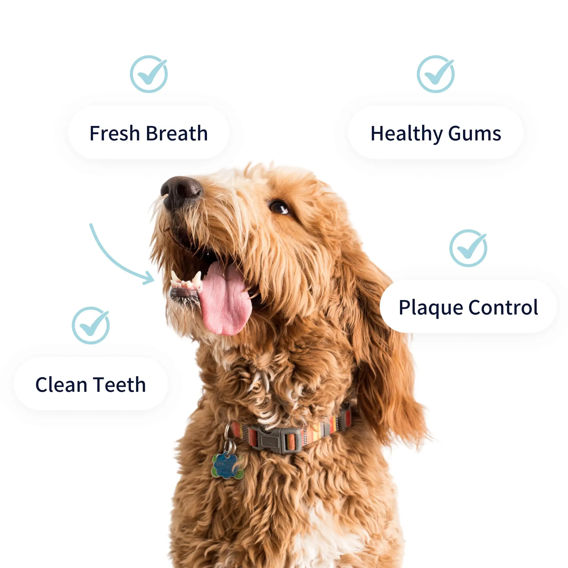 Dental-care-benefits