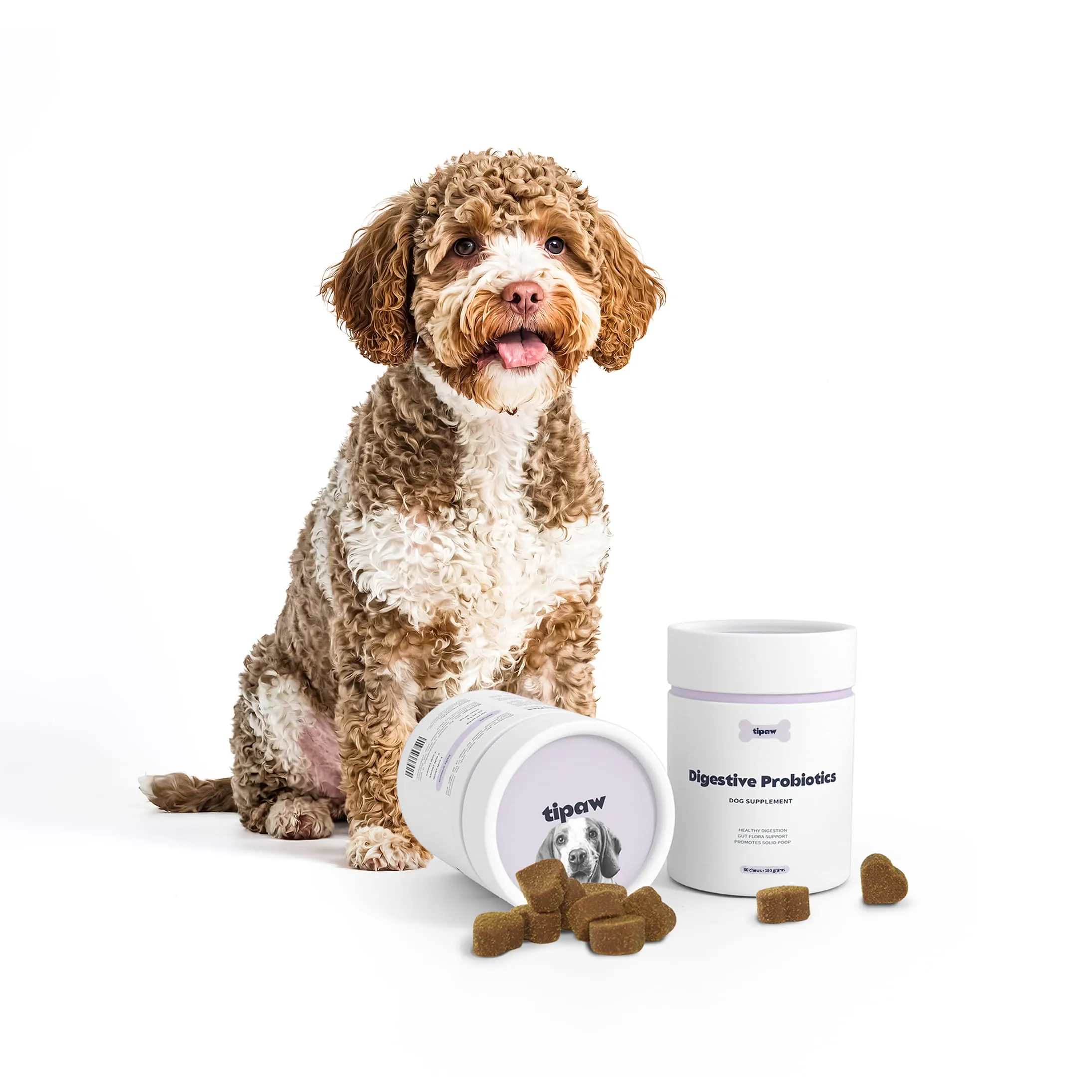 Digestive-probiotics-dog