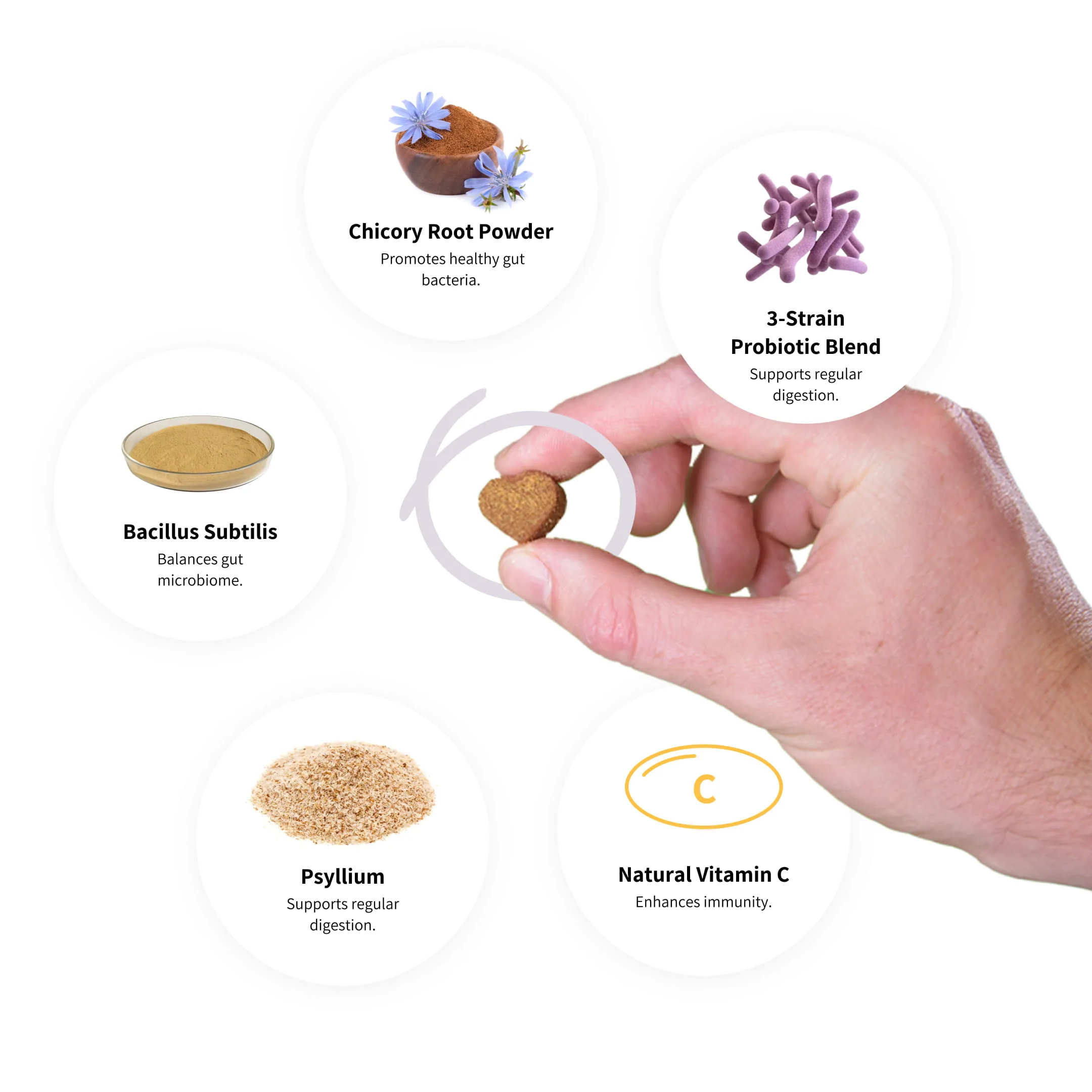 Digestive-probiotics-ingredients