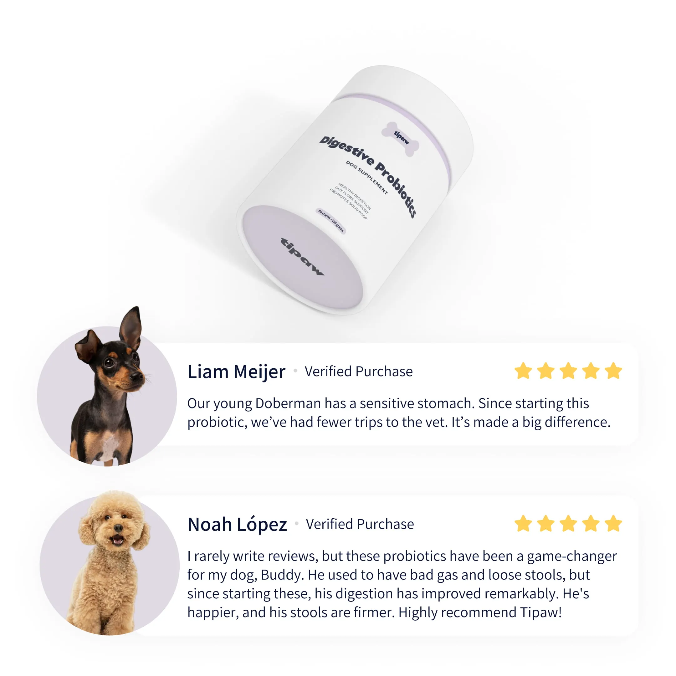 Digestive-probiotics-reviews