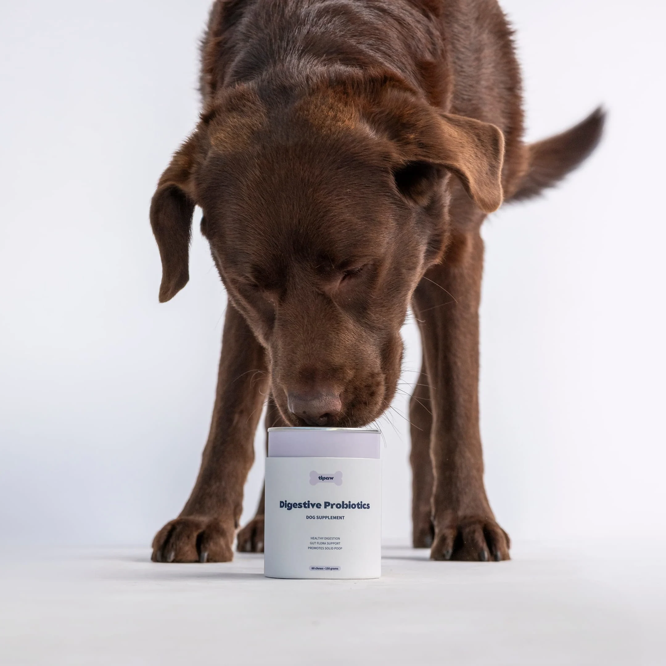 Digestive-probiotics-studio