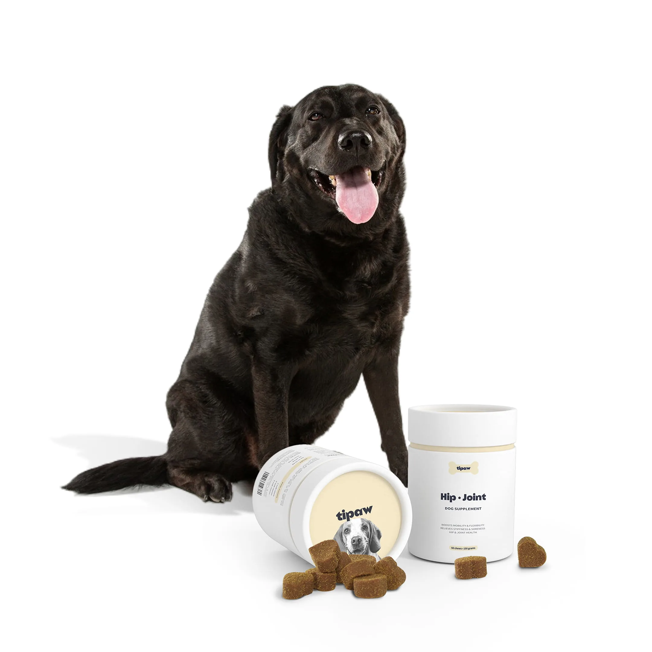 Hip-joint-dog