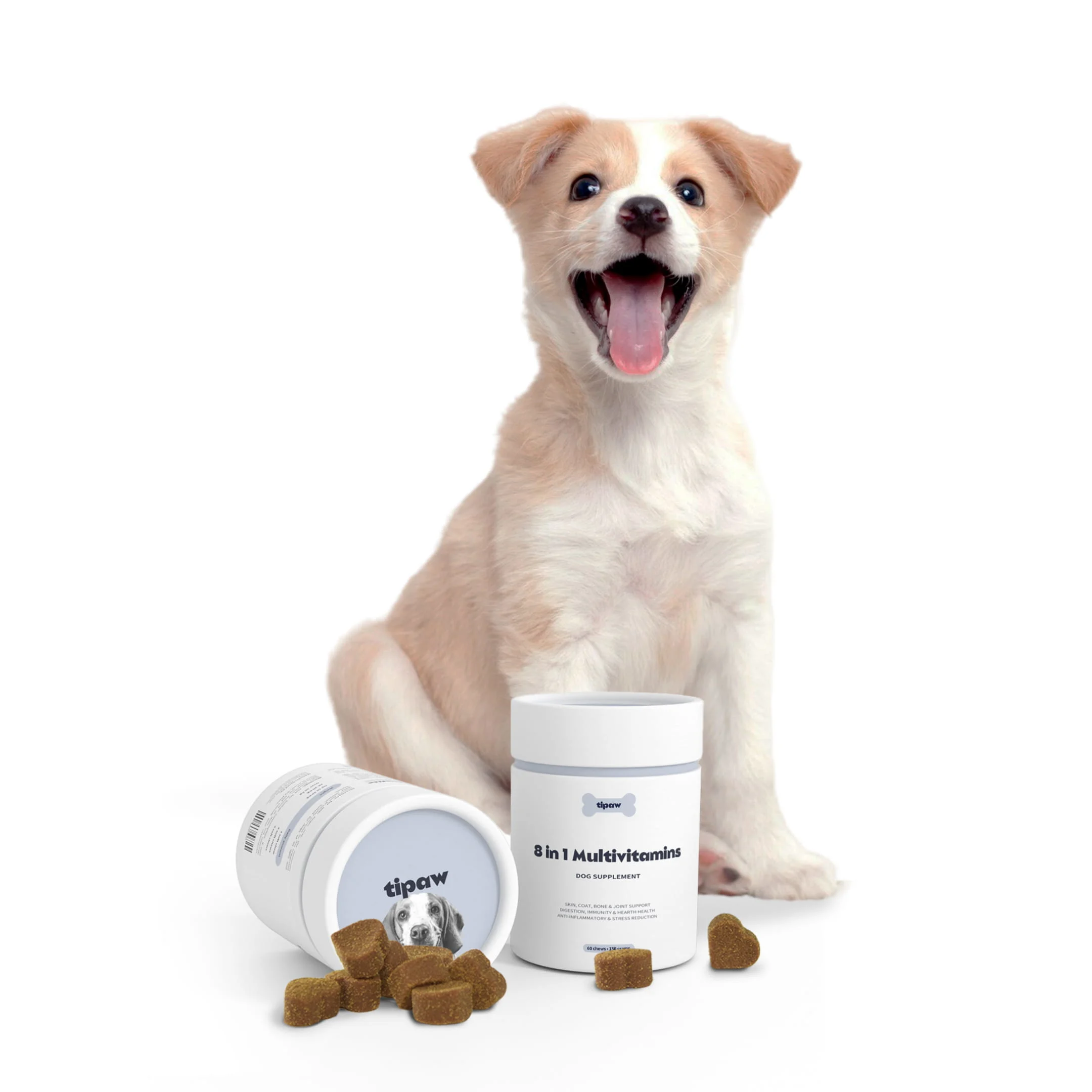 Multivitamins-dog