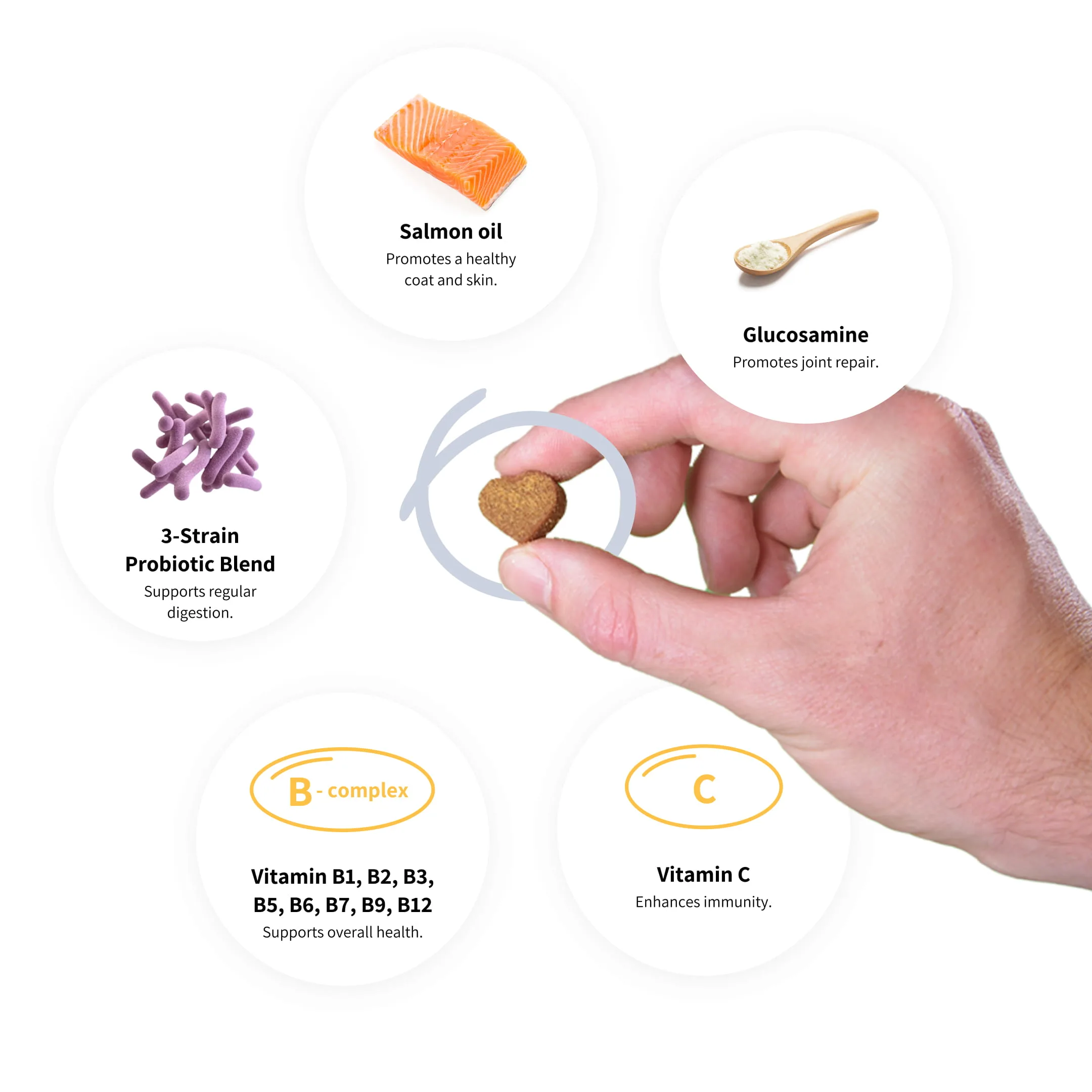 Multivitamins-ingredients