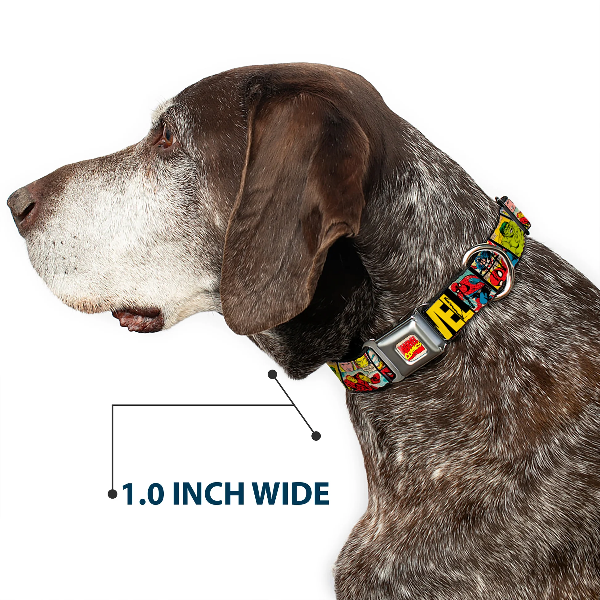 DC-SB-AVA-WAV042-6