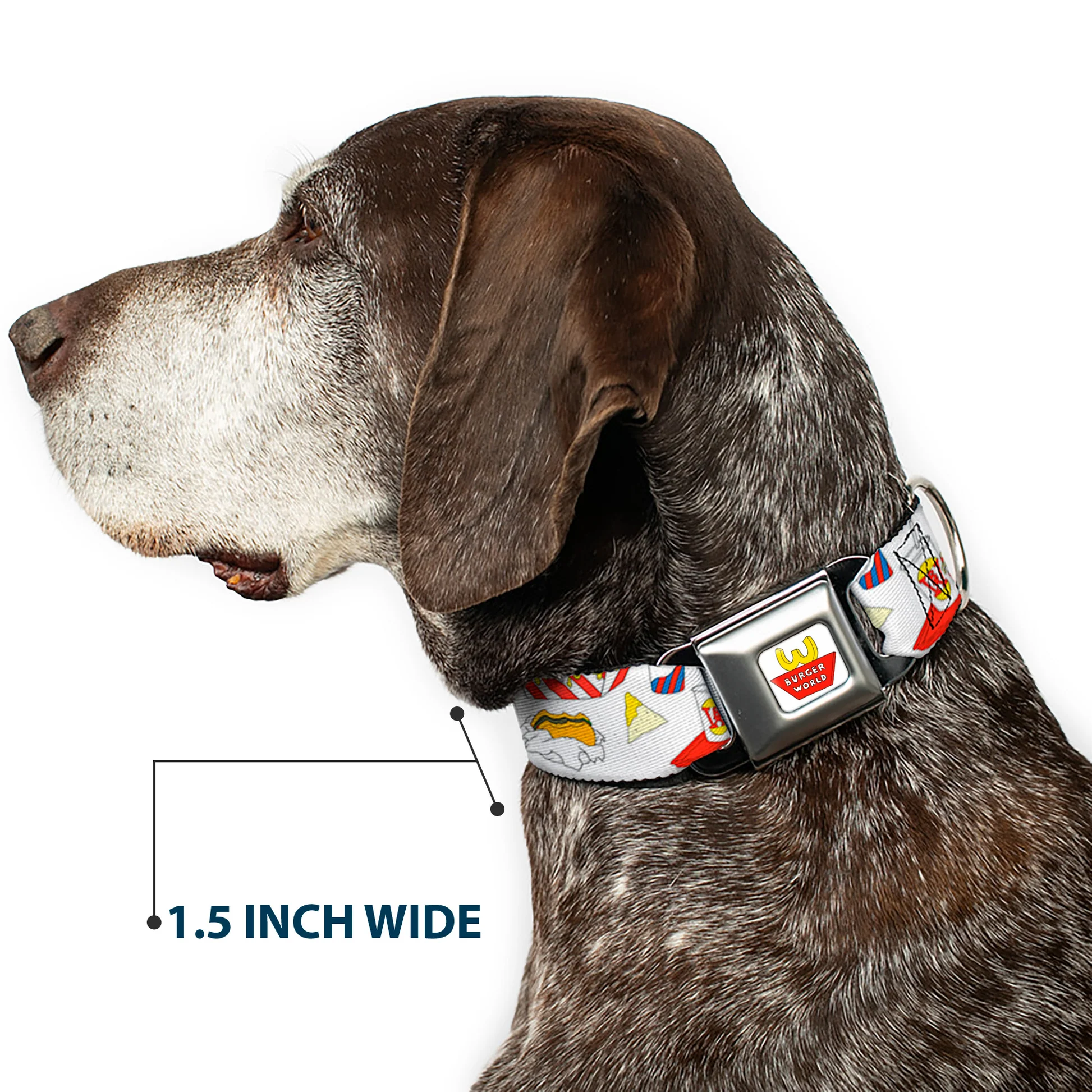 DC-SB-BBHB-WBBH004-7