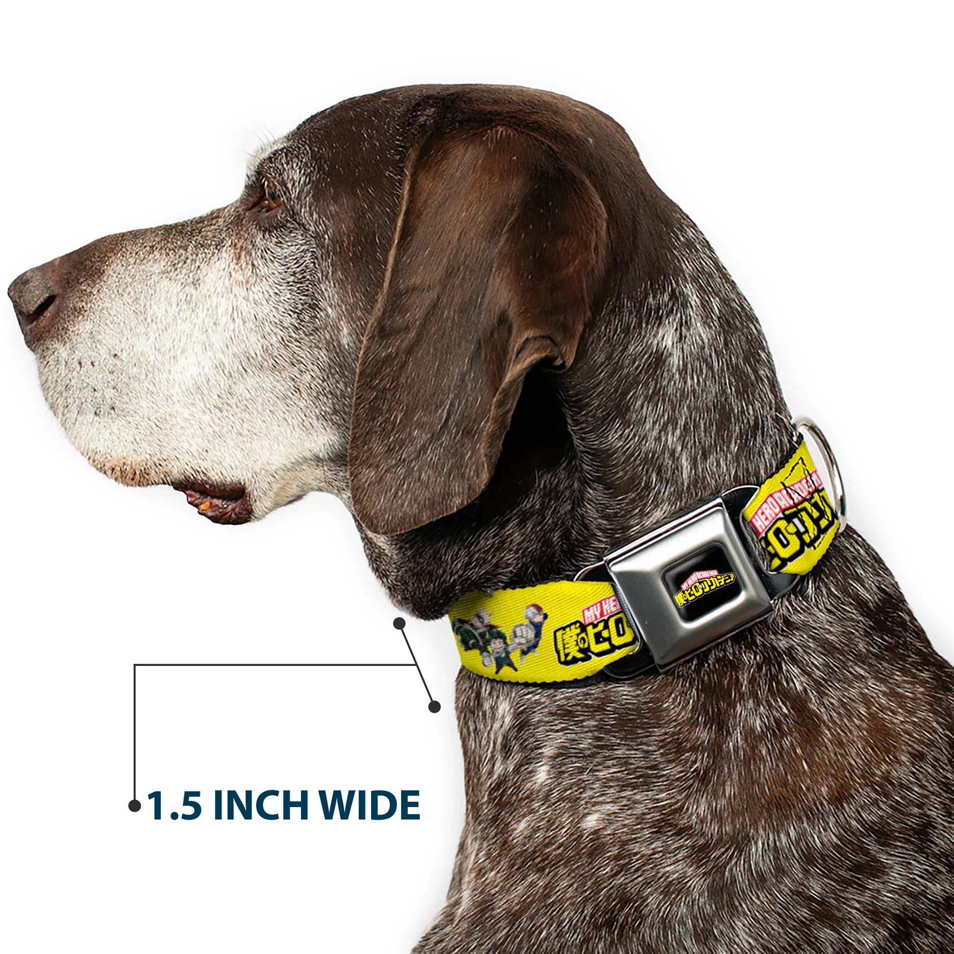 DC-SB-CMHA-WCMH009-7