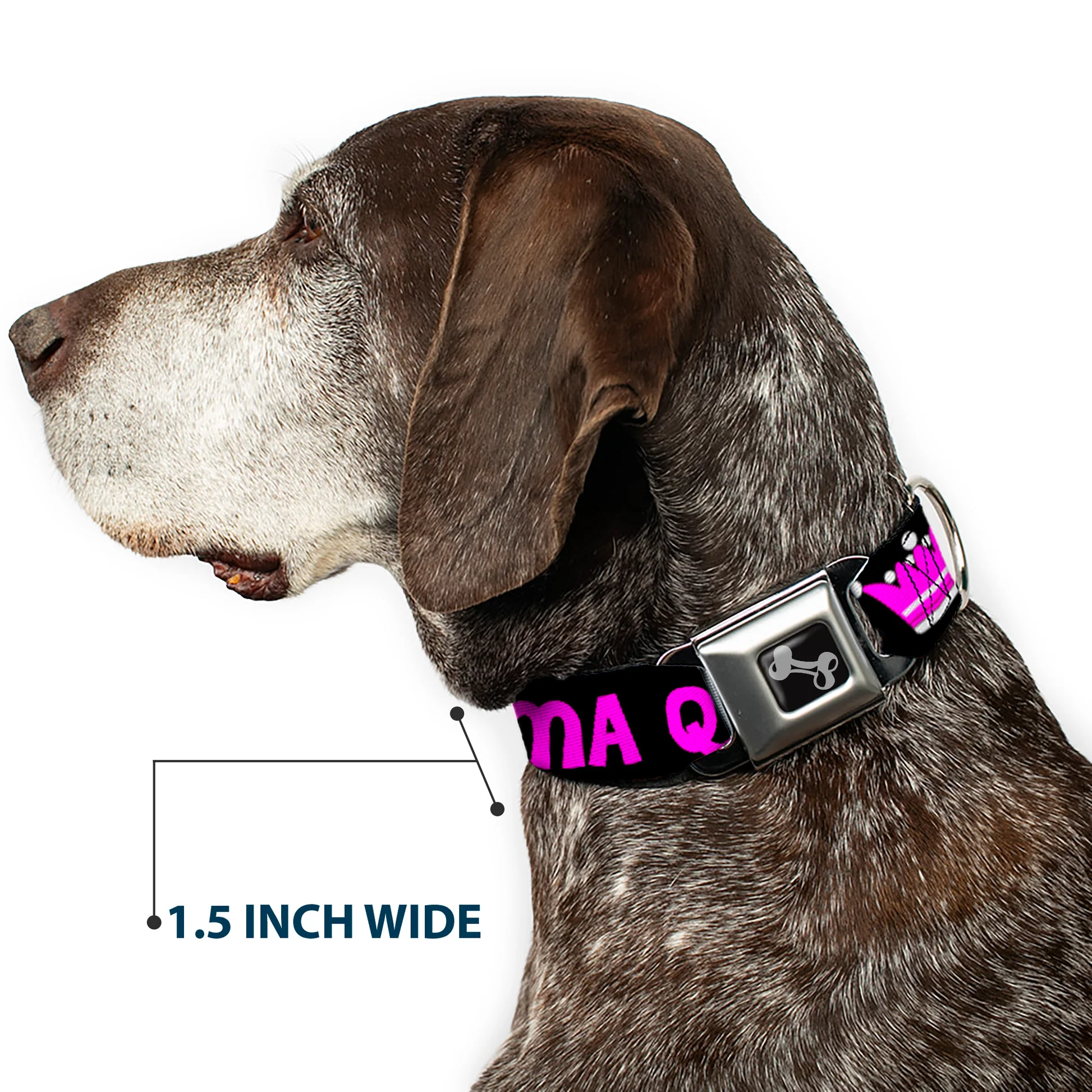 DC-SB-DB-W30470-7