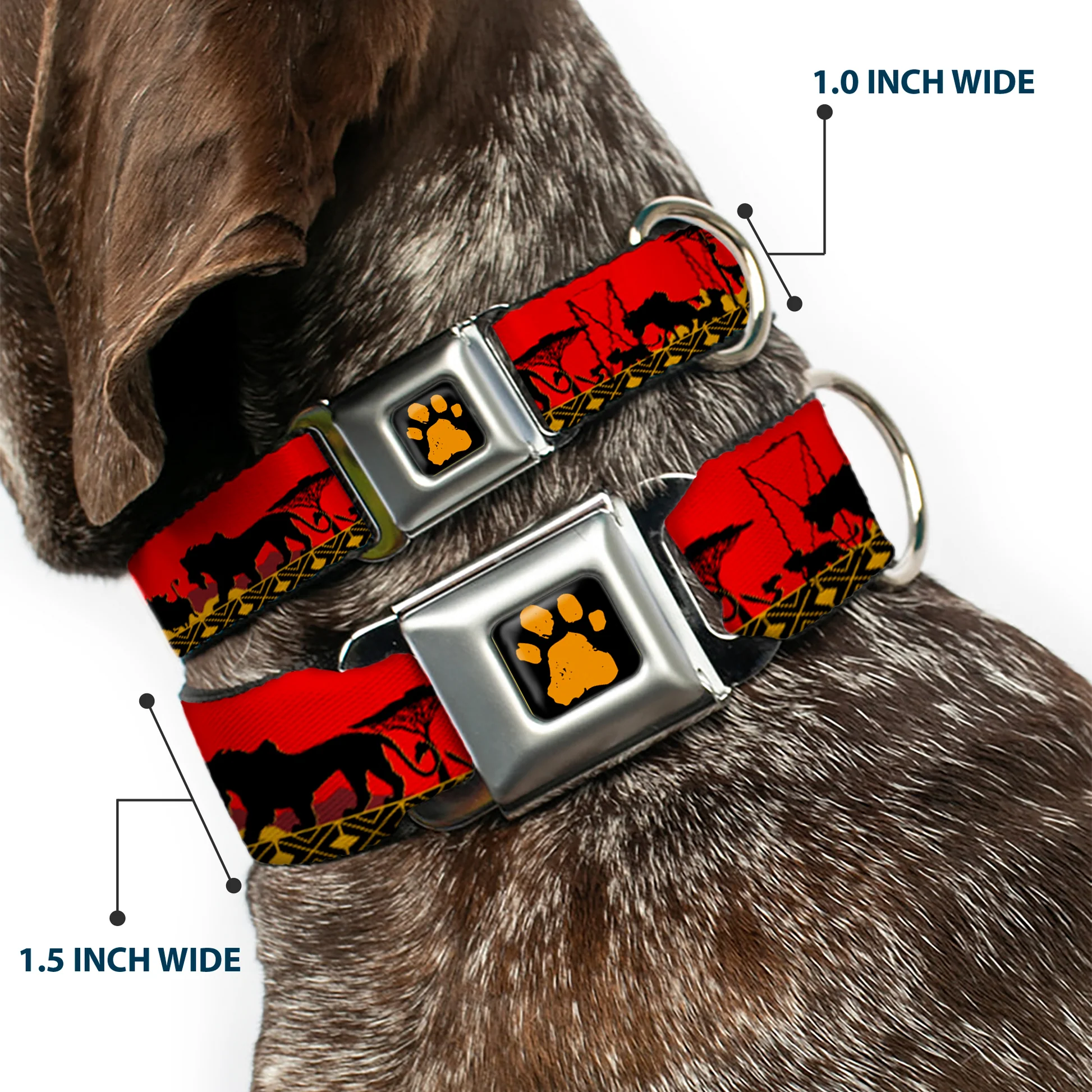 DC-SB-DYBC-WDY028-2