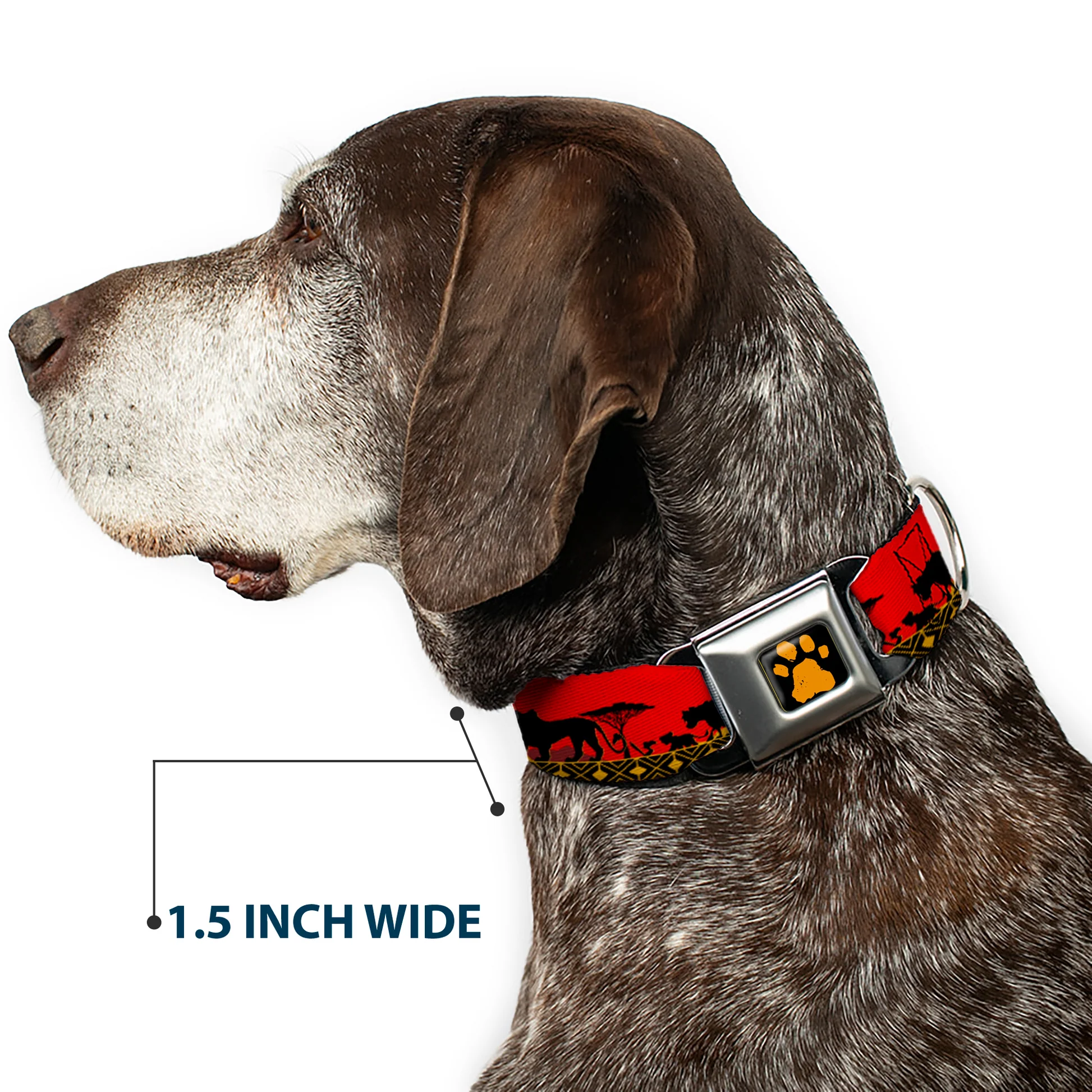 DC-SB-DYBC-WDY028-7