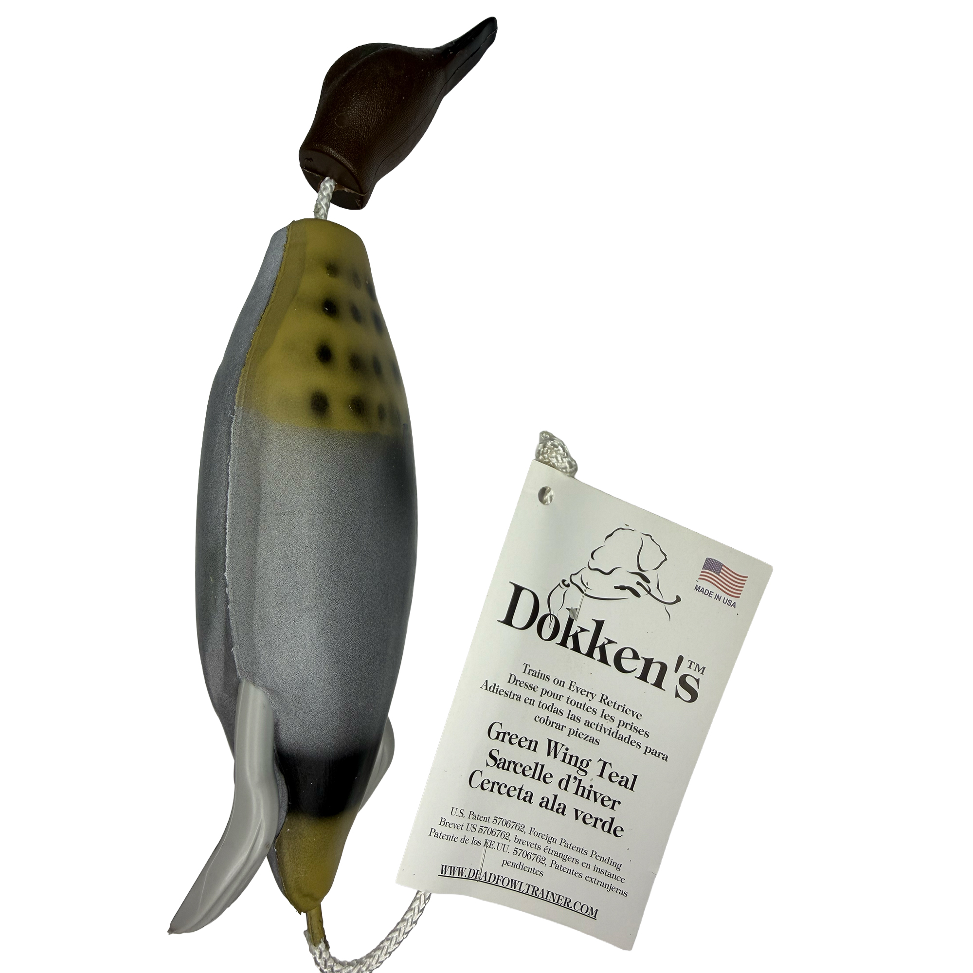 Dokken's zöldszárnyú réce - walkingpaws.hu-1