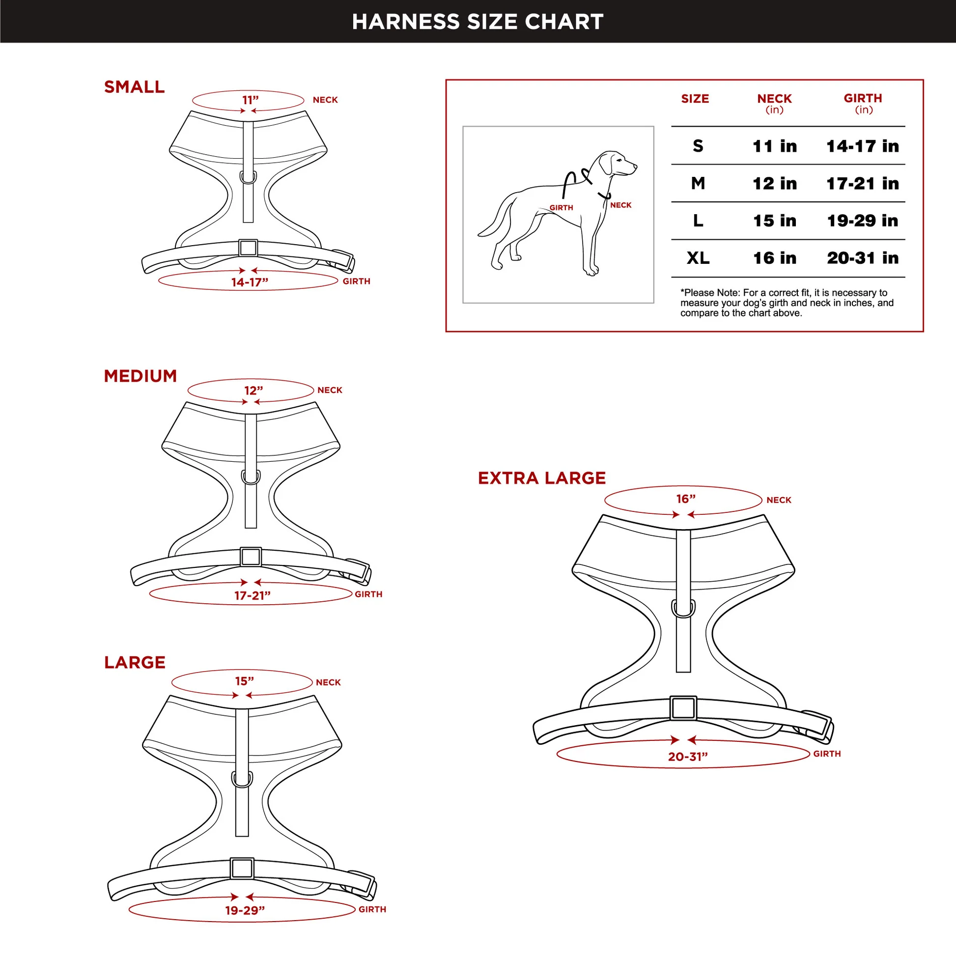 PH-SIZE-CHART