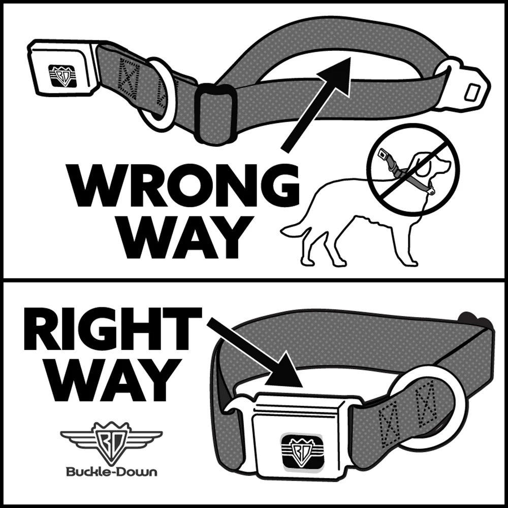 RIGHT-WRONG_0c23ba2e-938f-4d43-8a85-e7a563889d78