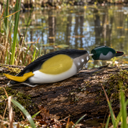 Dokken’s Wood Duck – Karolinai réce tréningdummy